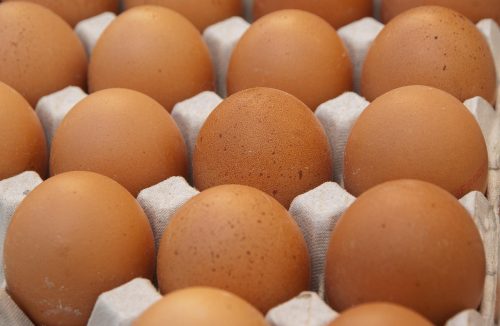 eggs-1882837_1280