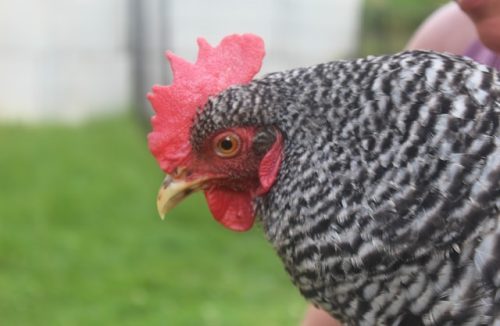 macy-taylor-ccFxQoidPEM-unsplash