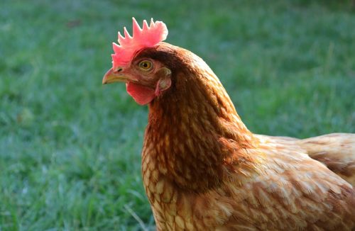 michal-pokorny-E297TeoXsnk-unsplash